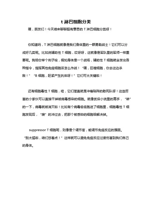 t 淋巴细胞分类