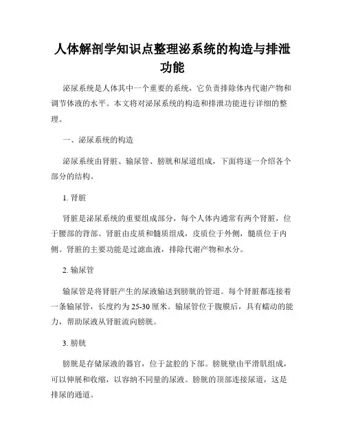 人体解剖学知识点整理泌系统的构造与排泄功能