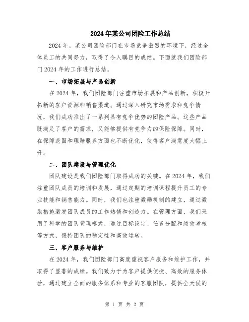 2024年某公司团险工作总结
