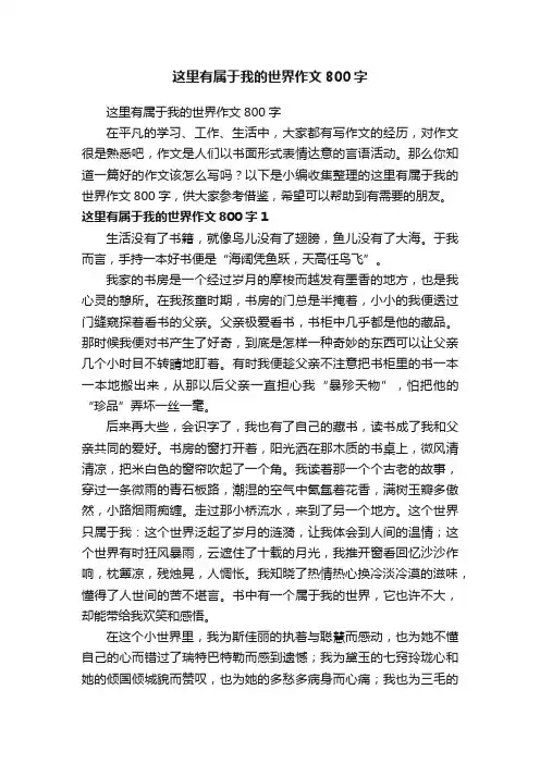 这里有属于我的世界作文800字