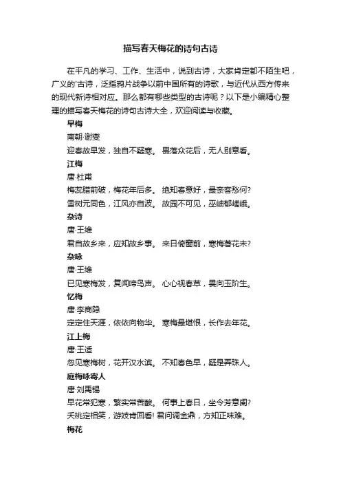 描写春天梅花的诗句古诗大全
