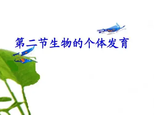 5.3 被子植物的个体发育