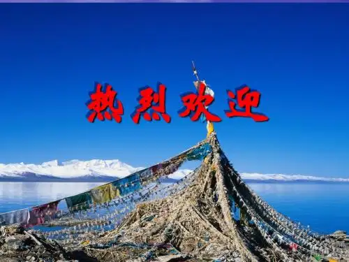 胸腰椎不稳定骨折前后路短节段内固有限元生物力学研究