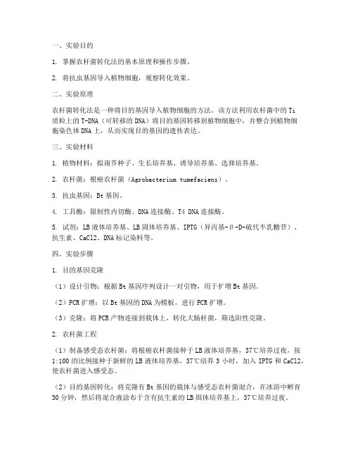农杆菌转化的实验报告