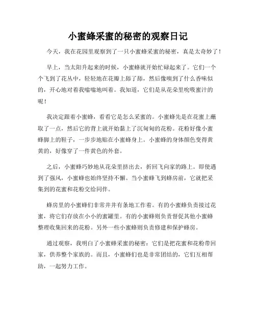 小学三年级作文小蜜蜂采蜜的秘密的观察日记