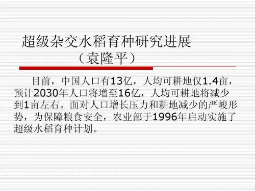 超级杂交水稻育种研究进展