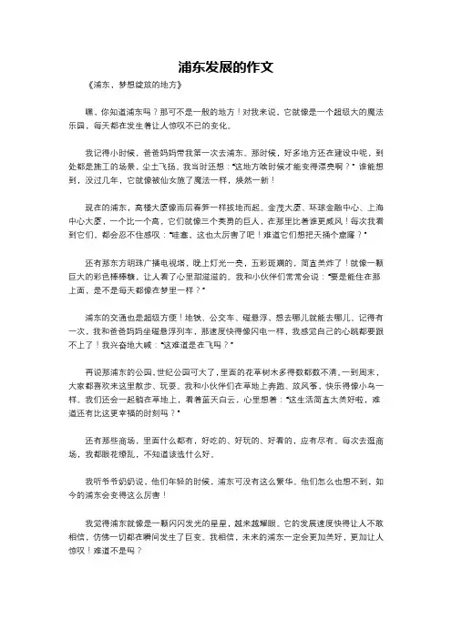浦东发展的作文