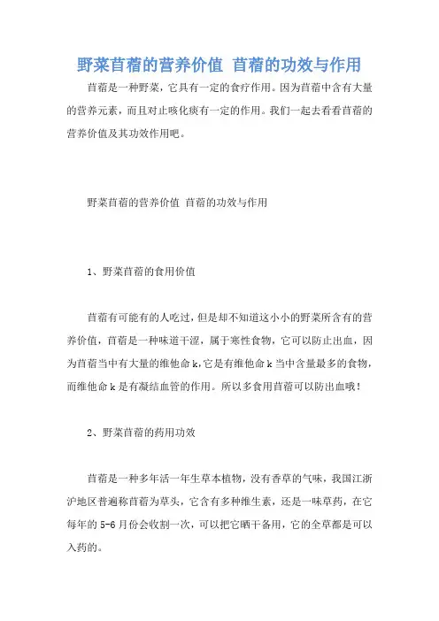 野菜苜蓿的营养价值 苜蓿的功效与作用