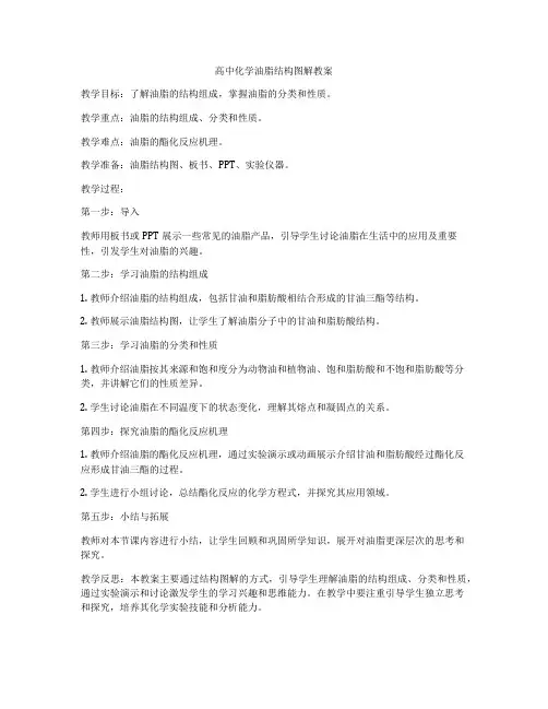 高中化学油脂结构图解教案