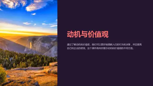 《动机与价值观》课件