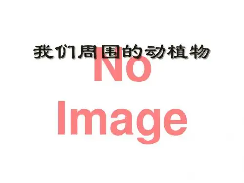 《我们周围的动植物》优选公开课精品PPT