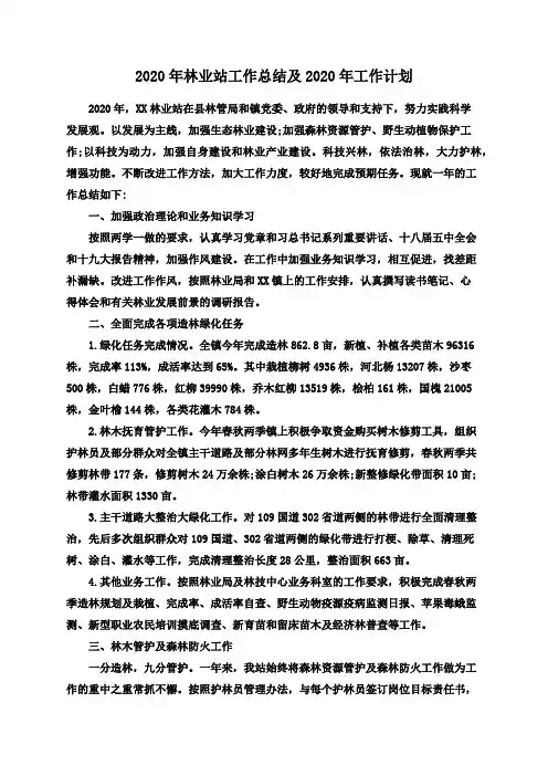 2020年林业站工作总结及2020年工作计划
