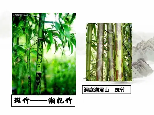 【选修】诗歌散文欣赏《湘夫人》公开课课件(30张PPT)