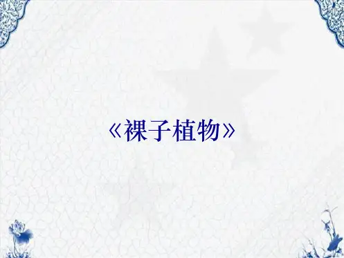 《裸子植物》