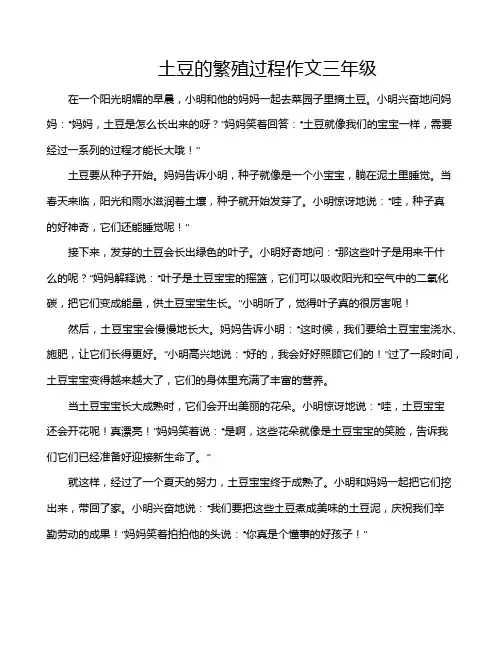 土豆的繁殖过程作文三年级