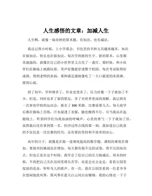 人生感悟的文章：加减人生