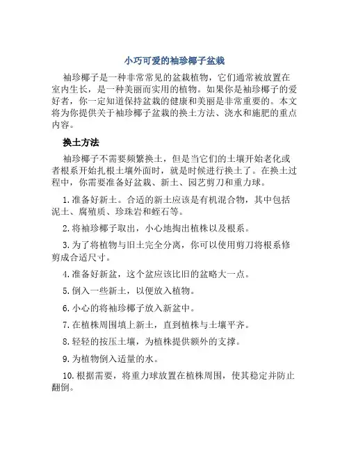 袖珍椰子盆栽技术：换土方法与浇水、施肥要点