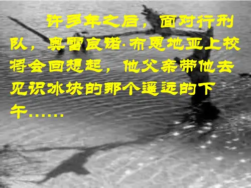 人教版高中语文必修五《百年孤独》ppt课件