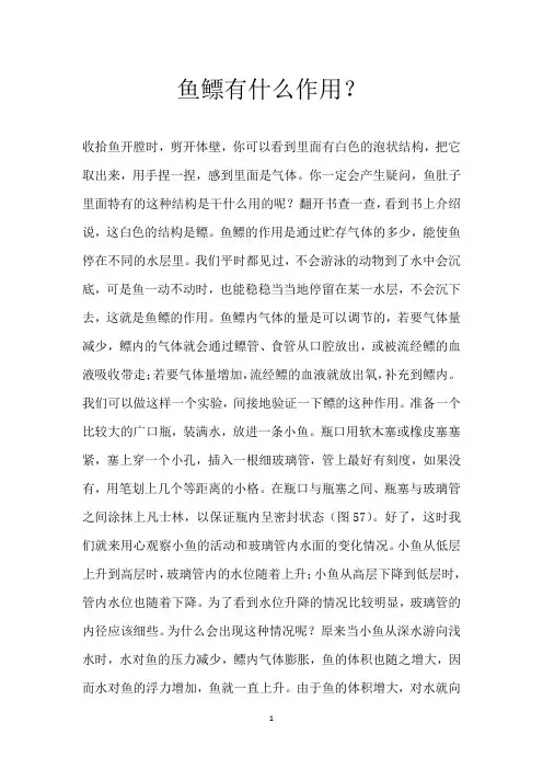 鱼鳔有什么作用？