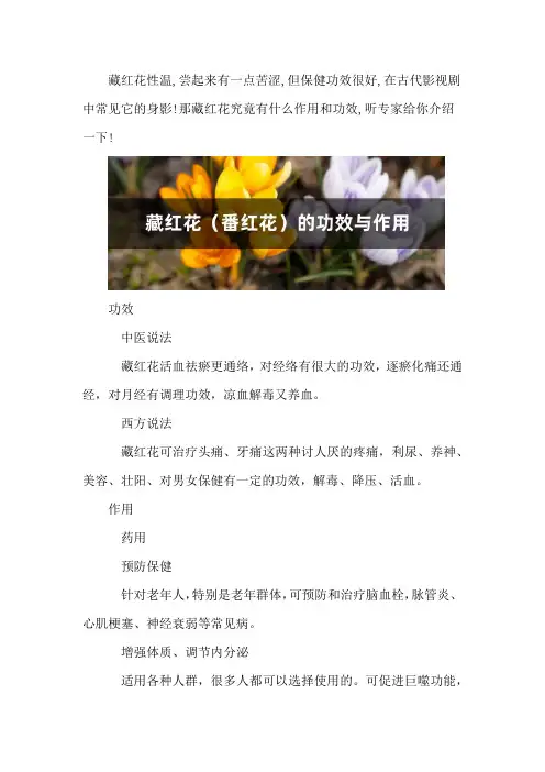 藏红花(番红花)的功效与作用
