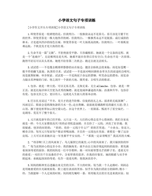  小学语文句子专项训练