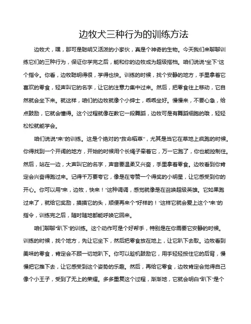 边牧犬三种行为的训练方法
