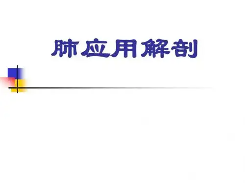 肺的应用解剖-课件