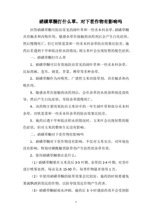硝磺草酮打什么草,对下茬作物有影响吗