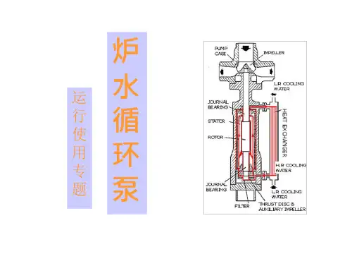 炉水循环泵本体研究