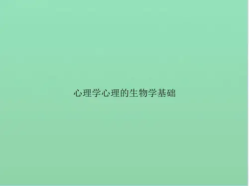心理学心理的生物学基础3