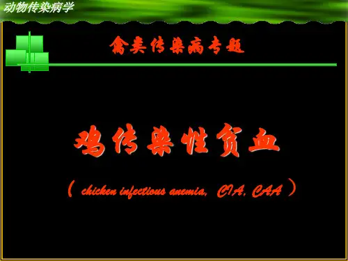 动物传染病-鸡病课件  鸡传染性贫血