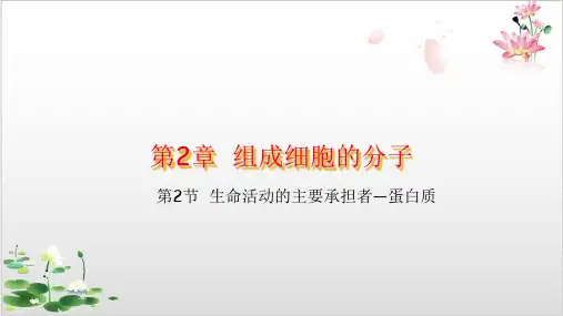 人教版必修生物-生命活动的主要承担者—蛋白质-ppt精品课件