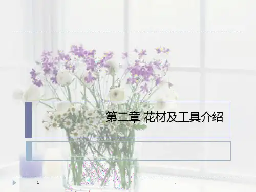 第二章花材及工具介绍PPT课件