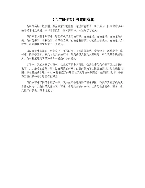 【五年级作文】神奇的石林