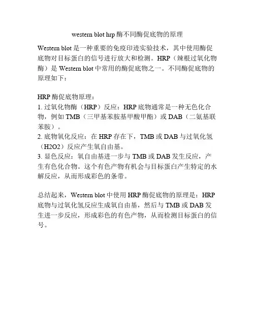 western blot hrp酶不同酶促底物的原理