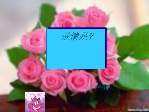 主题班会：花开太早是个美丽的错ppt1