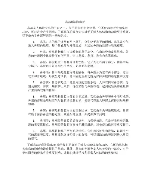 鼻部解剖知识点