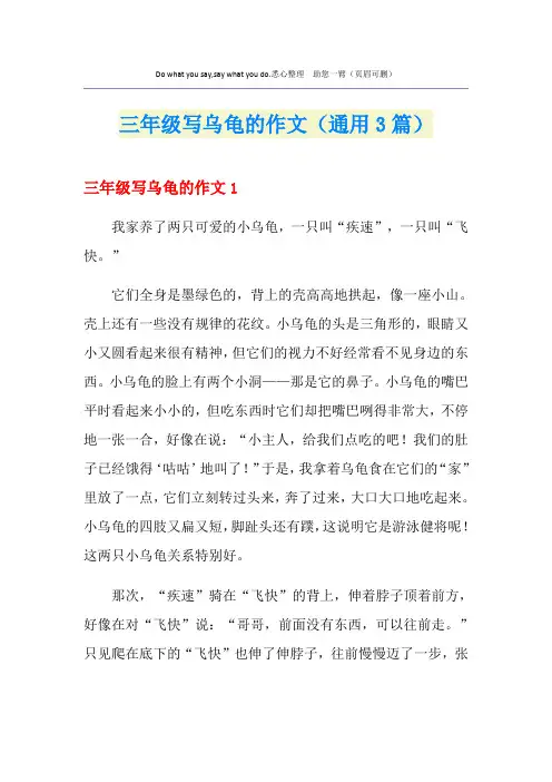 三年级写乌龟的作文(通用3篇)