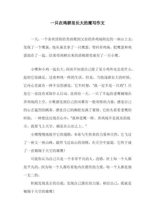 一只在鸡群里长大的鹰写作文