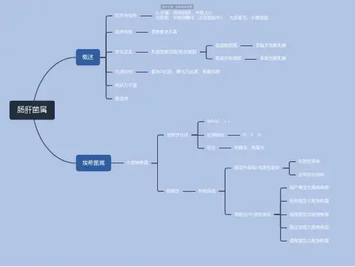 医学微生物学-肠肝菌属思维导图-高清简单脑图模板-知犀思维导图