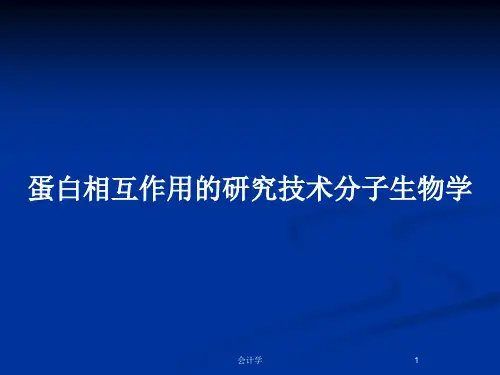 蛋白相互作用的研究技术分子生物学PPT教案