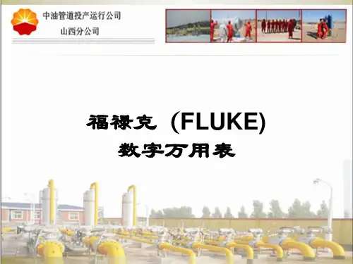 福禄克FLUKE数字万用表