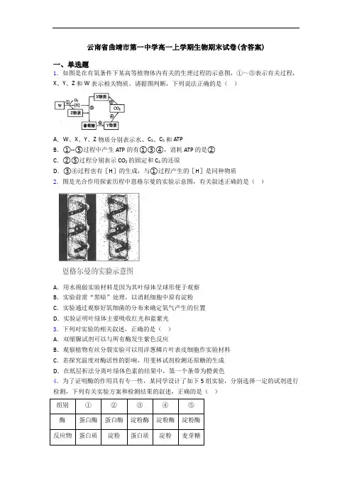 云南省曲靖市第一中学高一上学期生物期末试卷(含答案)