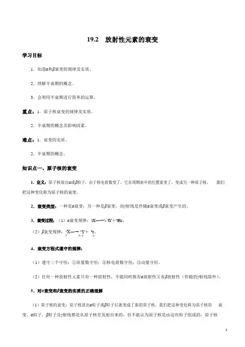 19.2 放射性元素的衰变(解析版)