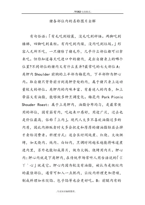 猪各部位肉的名称图片全解