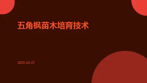 五角枫苗木培育技术