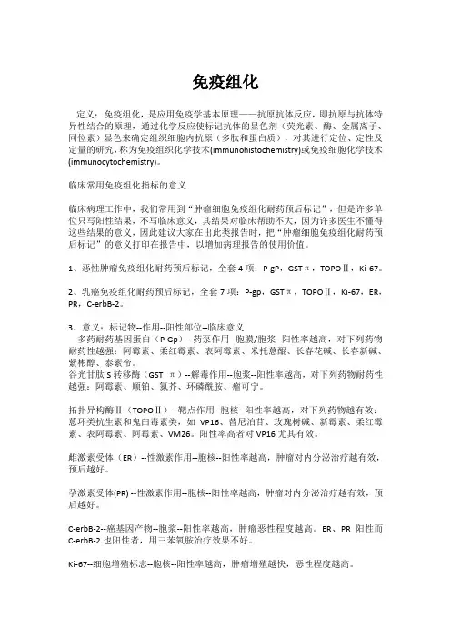 临床免疫组化实用大全