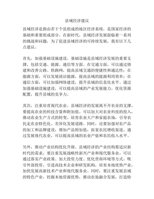 县域经济建议