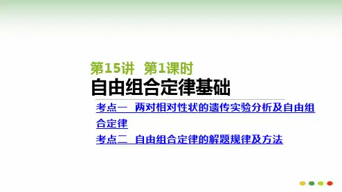 高三生物一轮复习：第15讲 第1课时  自由组合定律基础