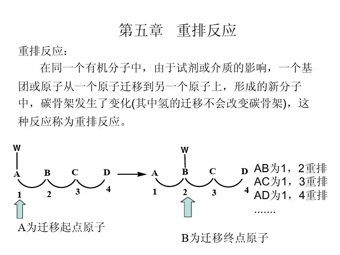 第五章重排的反应